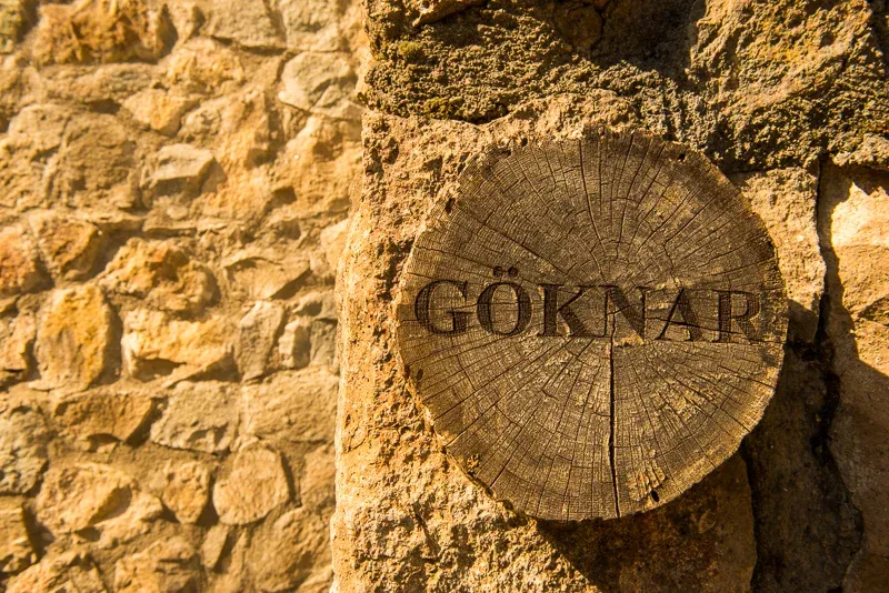 Göknar 3