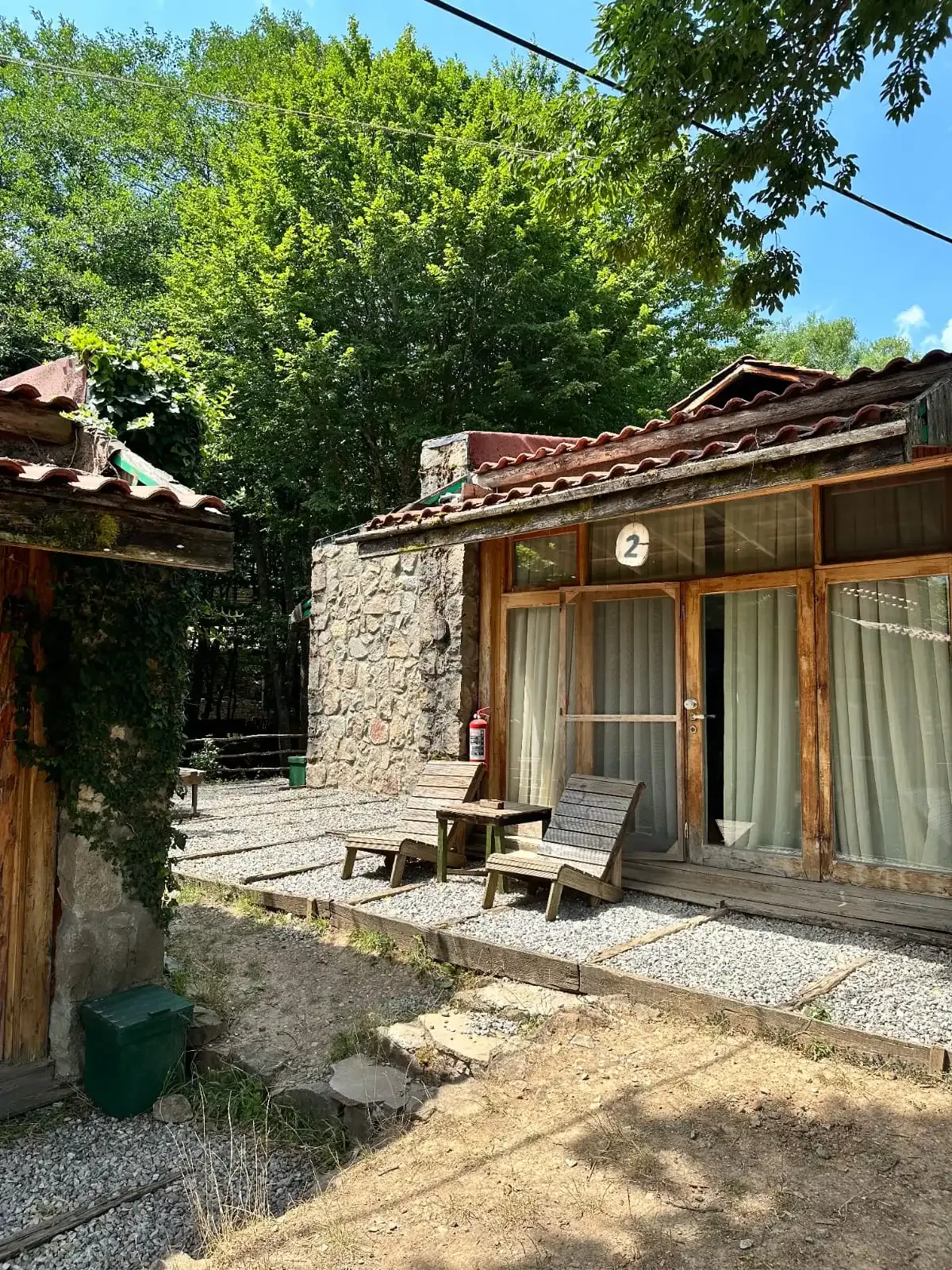 Meşe 2