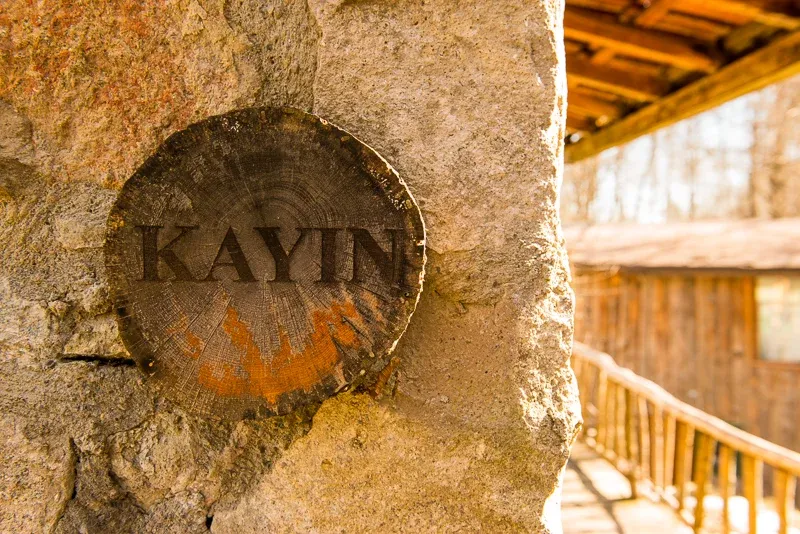 Kayın 2
